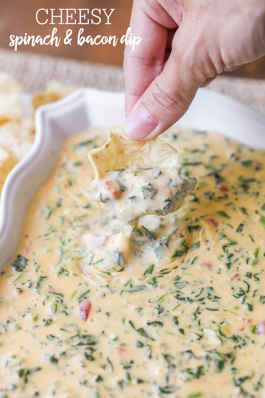 Easy Cheesy Spinach Dip My Kitchen Pasta