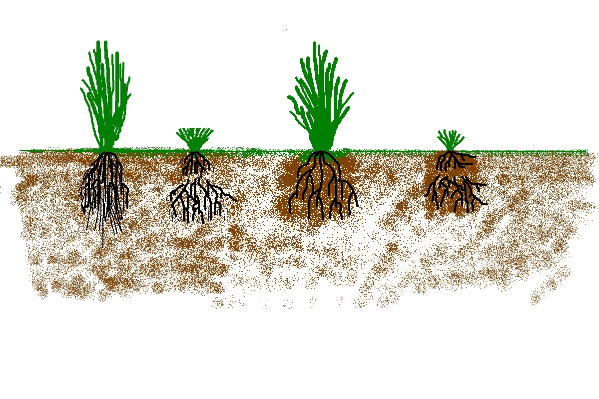 Life at Arbordale Farm: Pasture Management