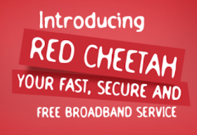 everything you need to know about swift networks' Red cheetah