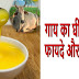 गाय का घी खाने के फायदे और नुकसान | Benefits And Side Effects of Cow Ghee - Baba Ramdev Tips