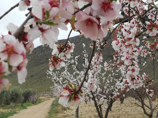 Bodegas Viña Elena Jumilla Bodegas Viña Elena