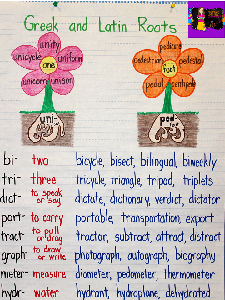 Latin And Greek Word Roots 28