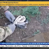В РФ ПОКАЗАЛИ, КАК ЗАДЕРЖАЛИ «УКРАИНСКИХ ДИВЕРСАНТОВ» (ВИДЕО)