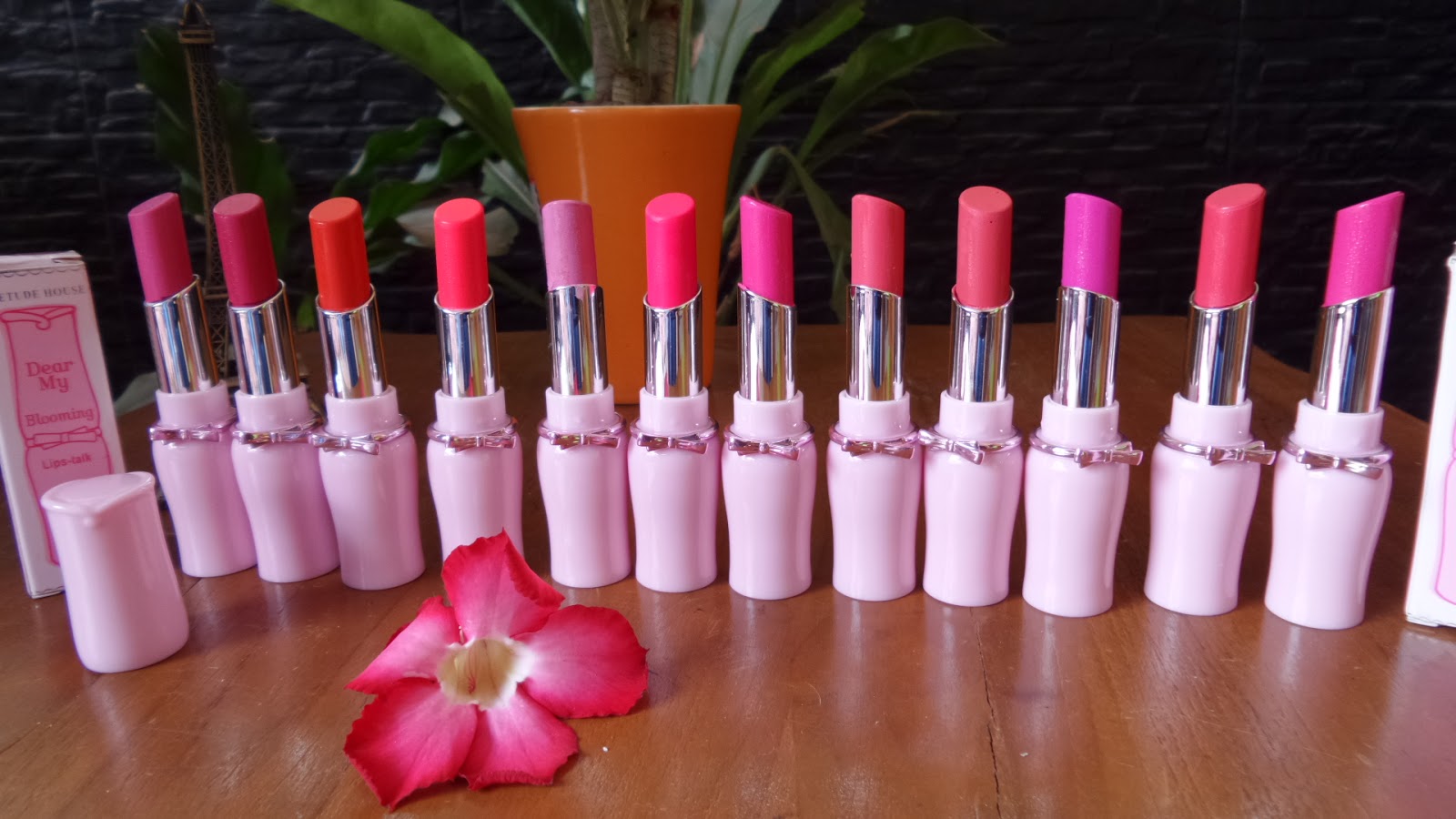 Lipstik Etude lipstick etude dear my blooming talk etude house Lipstik Etude lipstick etude dear my blooming talk etude house