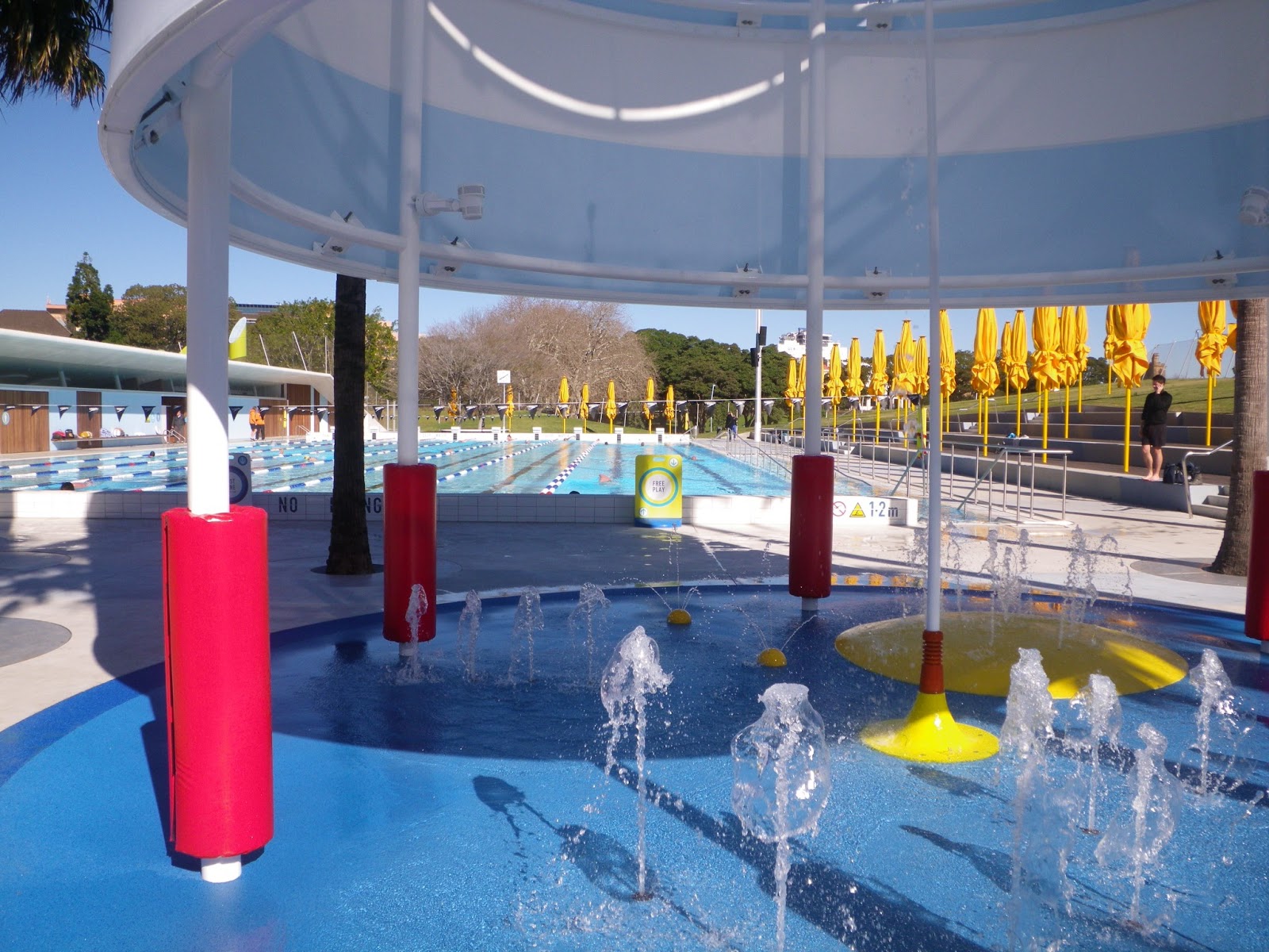 Swimming pool stories The art and design of Prince Alfred Park Pool