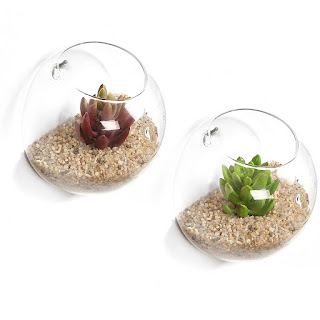 Pajangan Dinding Ruang Tamu Terrarium Pajangan Dinding Ruang Tamu Terrarium