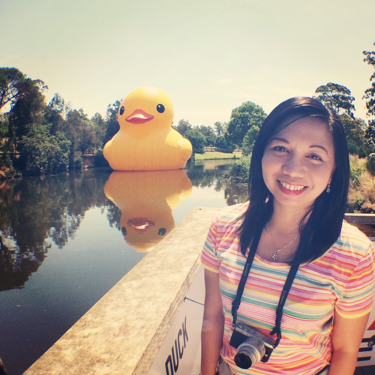 A Wife's Charmed Life: The Rubber Duck Is Back For The Sydney Festival 2014