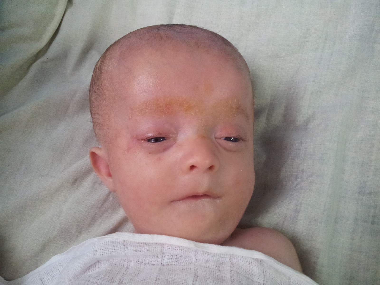 Gabriel's Shalom Having Done All, Stand