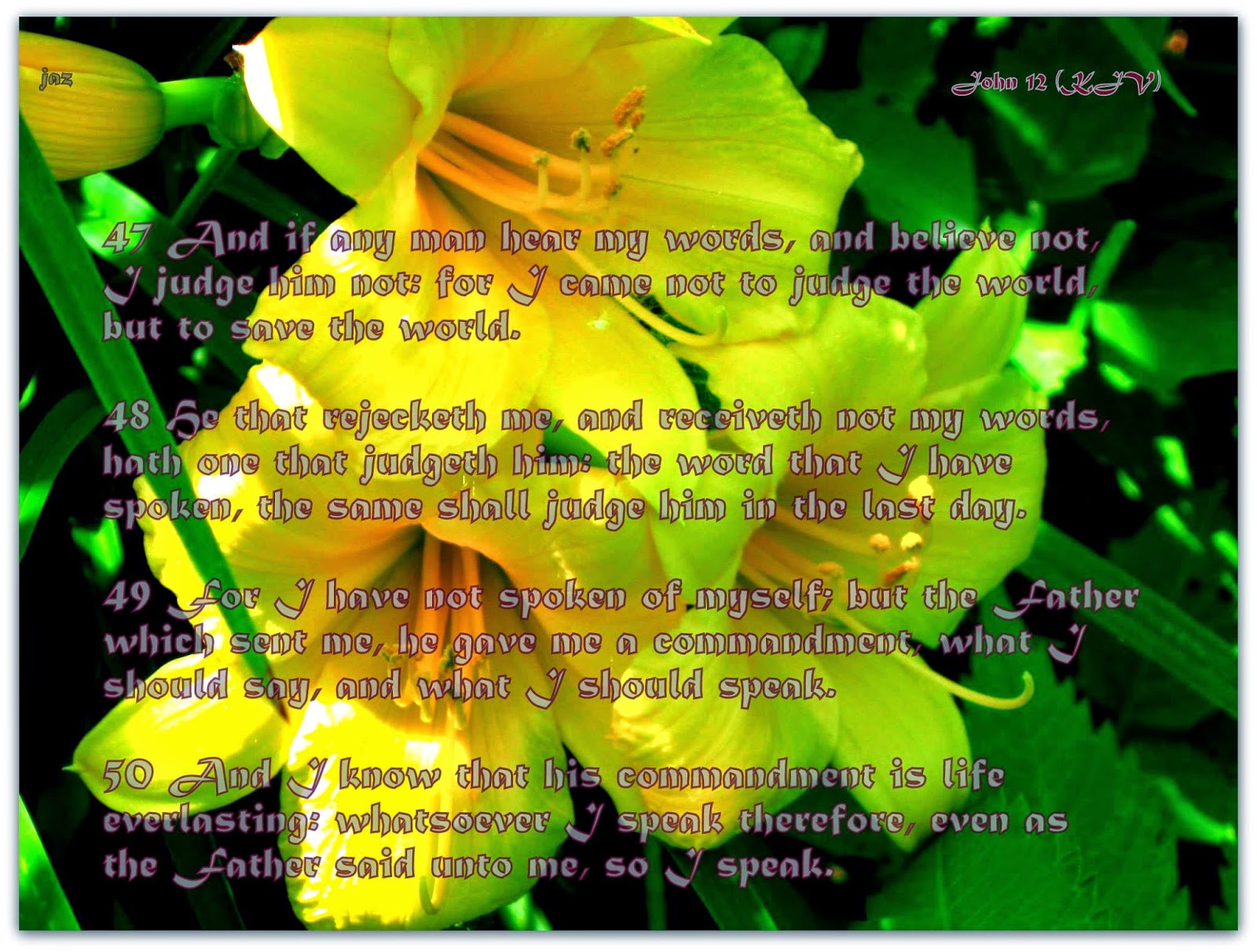 Red Pill Diaries Romans 109 Confess Jesus is Lord and You're Saved