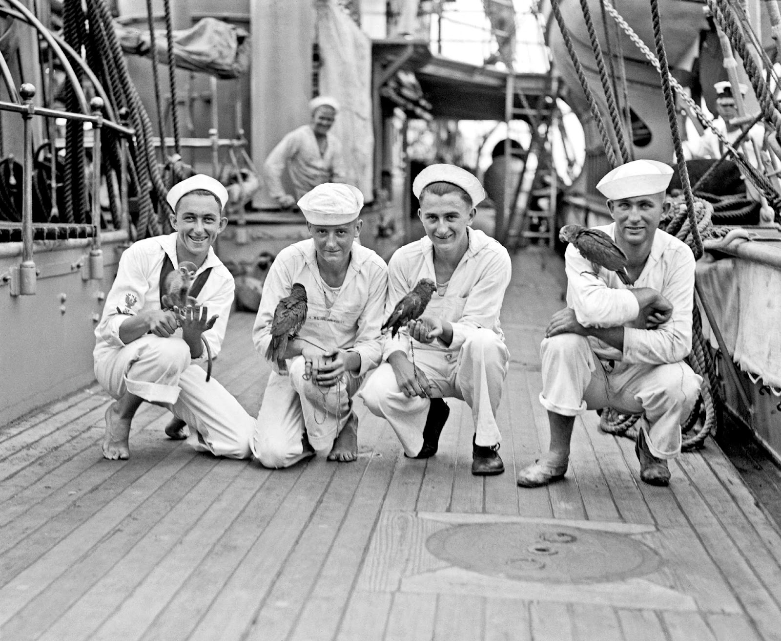 Во второй половине 20 го. Австралия 1900е. Сша 19-20 века. Нью йорк 19 век. Берлин 1914 год.