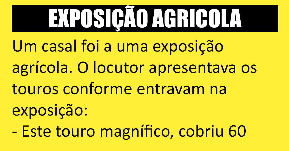 O problema estava na vaca O problema estava na vaca