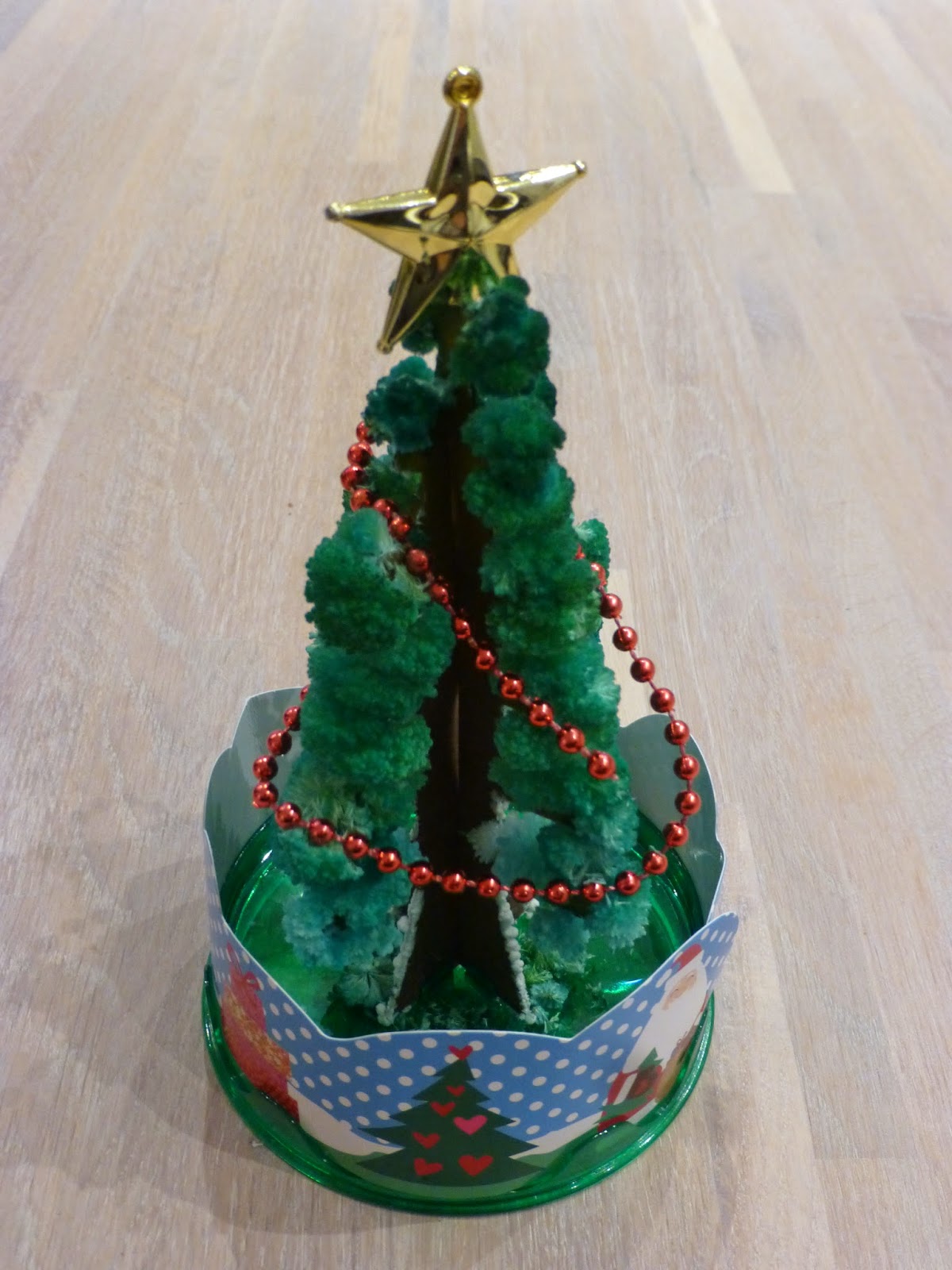 Family FECS Crystal Experiment Growing Crystal Christmas Tree