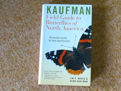 Kaufman Butterfly field guide