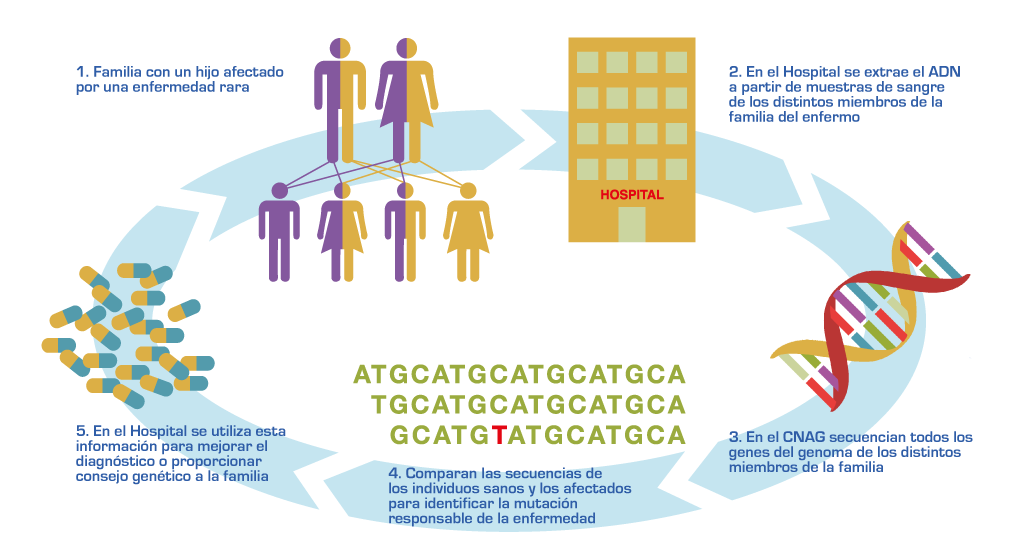 Exposición sobre Investigación sobre en Enfermendades Raras Centro