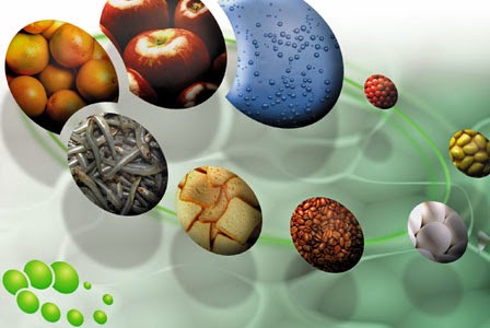 Microbiologia dos Alimentos Microbiologia dos Alimentos