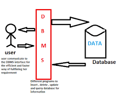how does Distributed Database Management System works