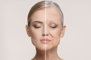 Slowing the Formation of Dead Skin Cells Slowing the Formation of Dead Skin Cells