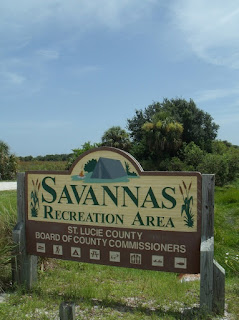 Zona natural de Savannas Zona natural de Savannas