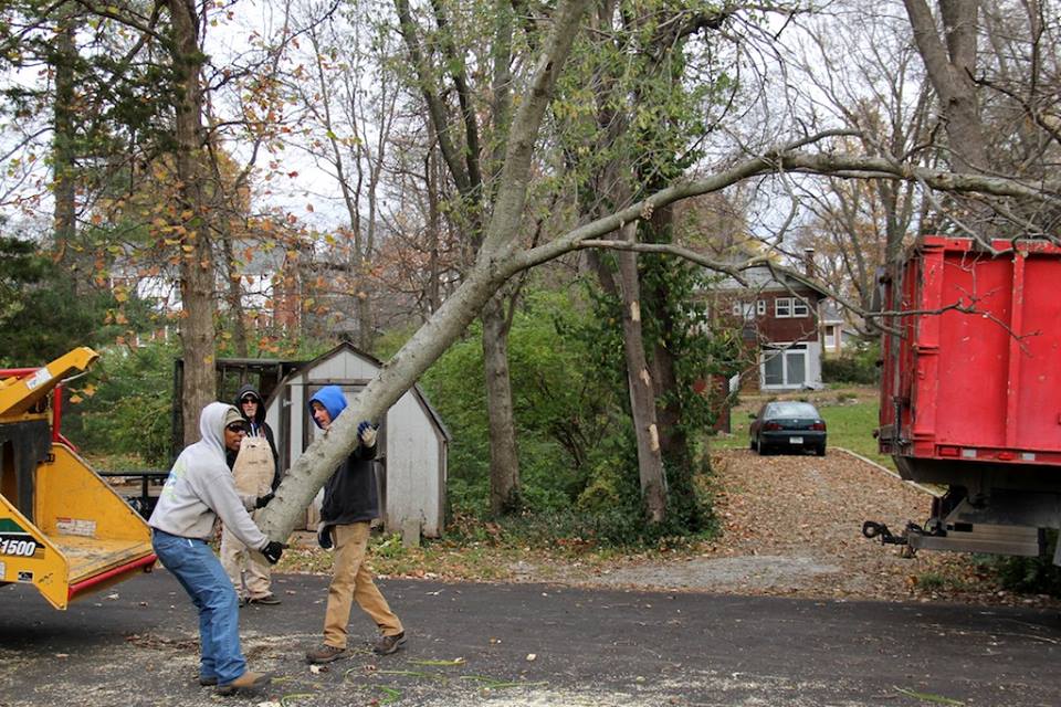 MEC&F Expert Engineers Tree limb kills 25yearold worker employed by