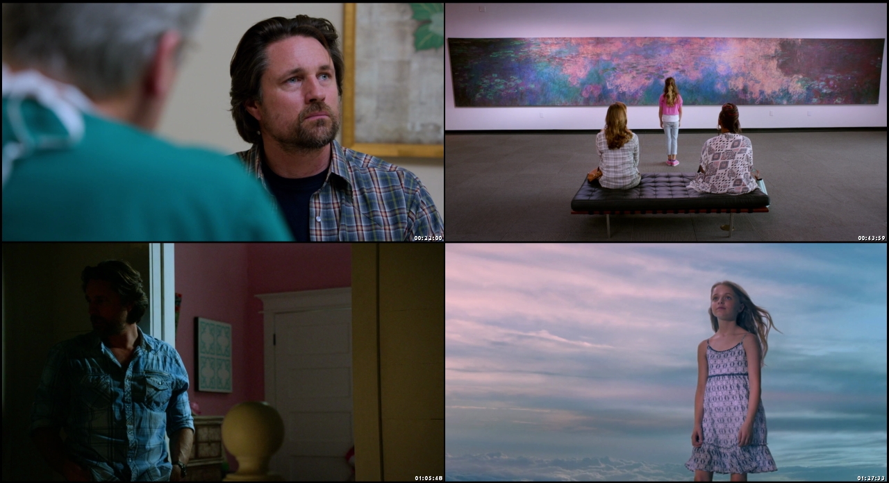 Miracles from Heaven 2016