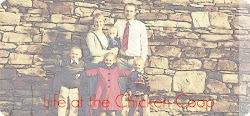 pulls drawer coop chicken