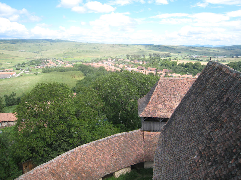 HRANA VIE: La multi ani, draga noastra Tante Sara!