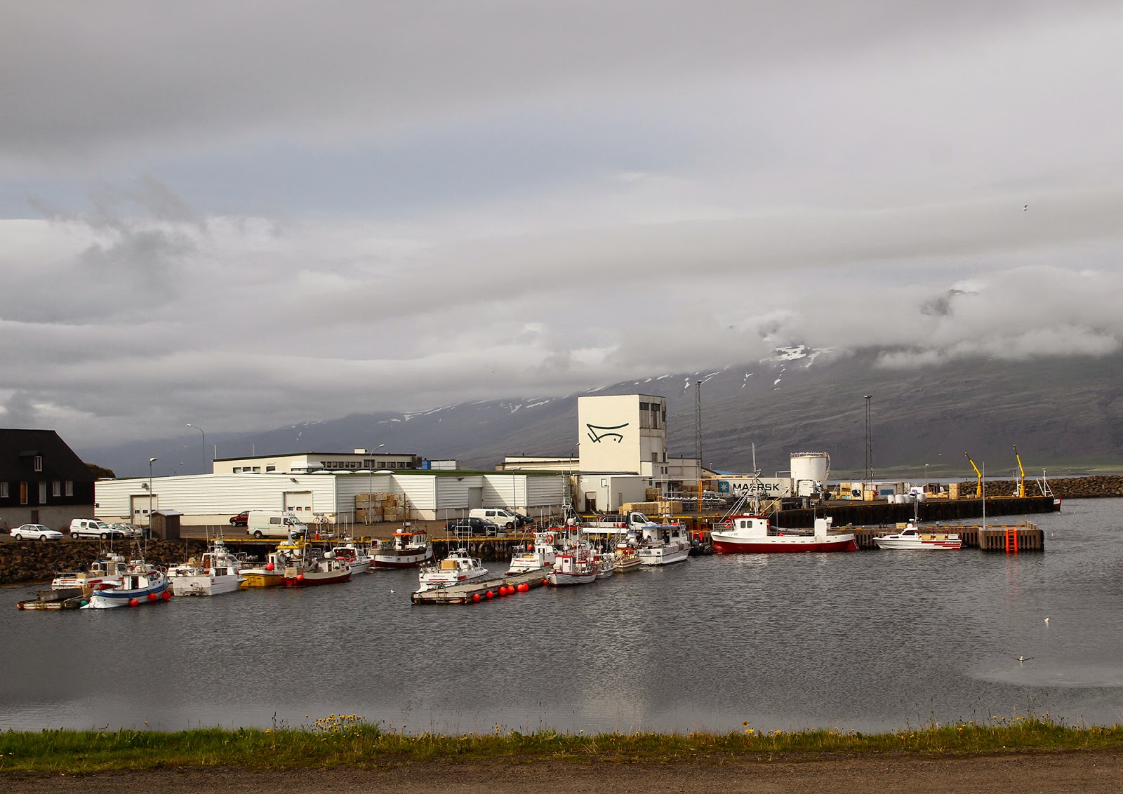 Visitar os FIORDES ORIENTAIS da Islândia - Seydisfjordur e os fiordes de leste | Islândia
