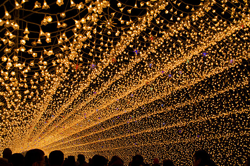 Japan's Winter Lights Festival