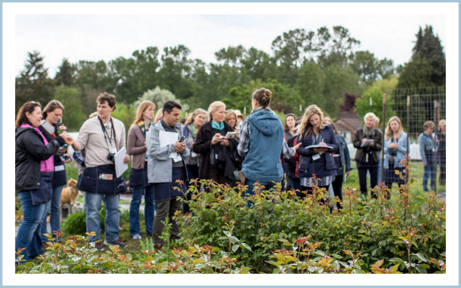 marieke nolsen Floret Flower /FarmerFlorist Collectief