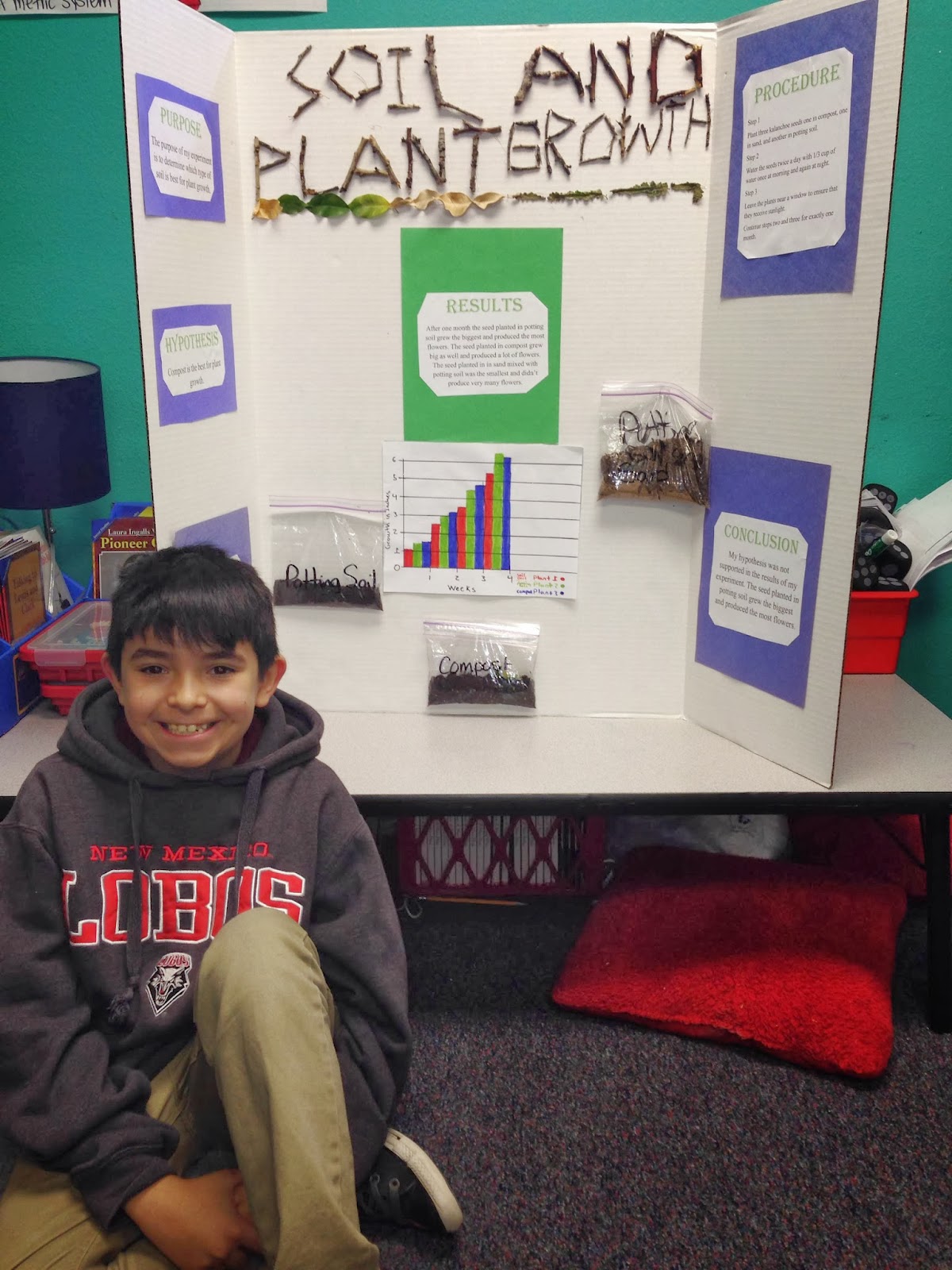 Ms. Seeley's Fourth Grade: Science Fair 2014