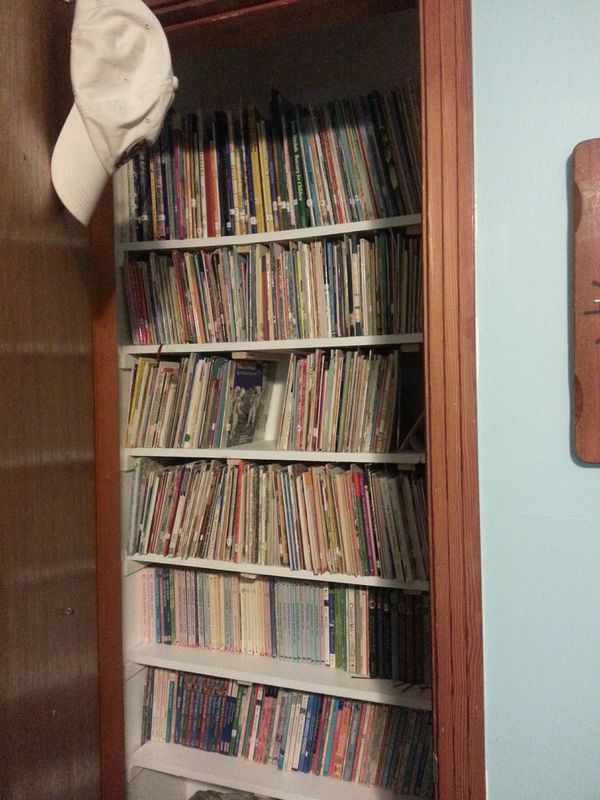 Noll Life Shelves in the Closet What a Happy Thought Indeed!