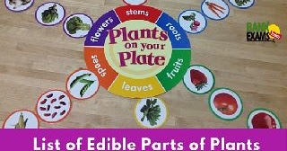 List of Edible Parts of Plants (PDF Version) | Bank Exams Today