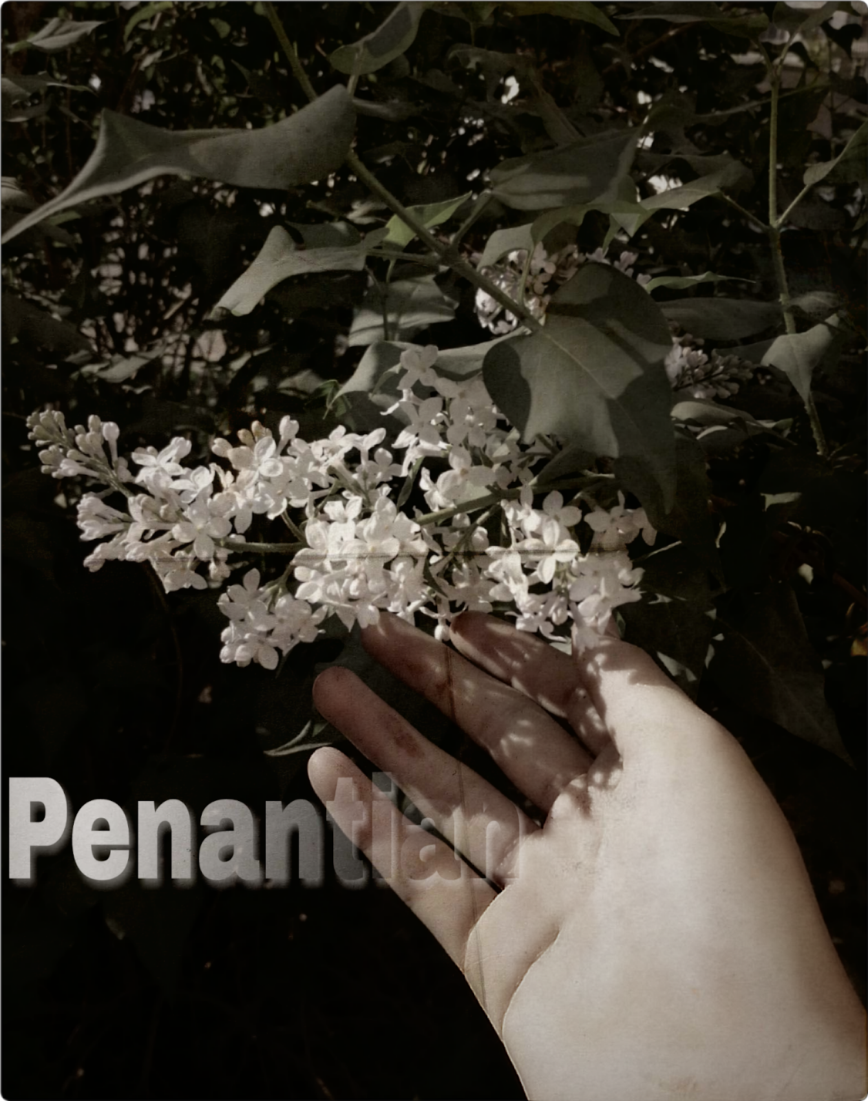 Dalam Sebuah Penantian