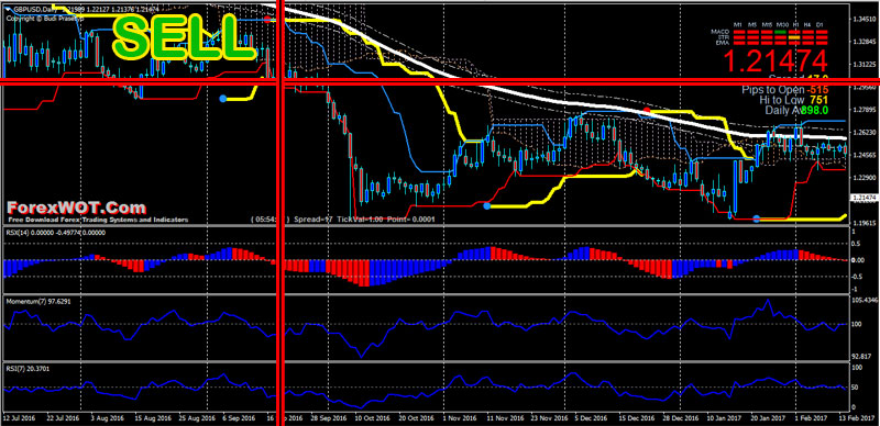 Turtle strategy forex