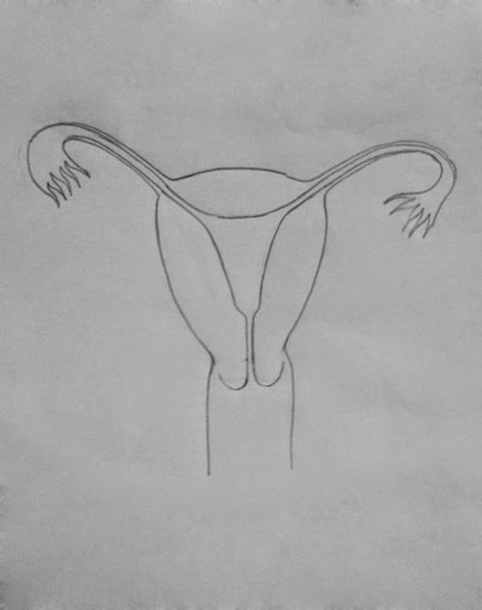How To Draw A Vagina 53