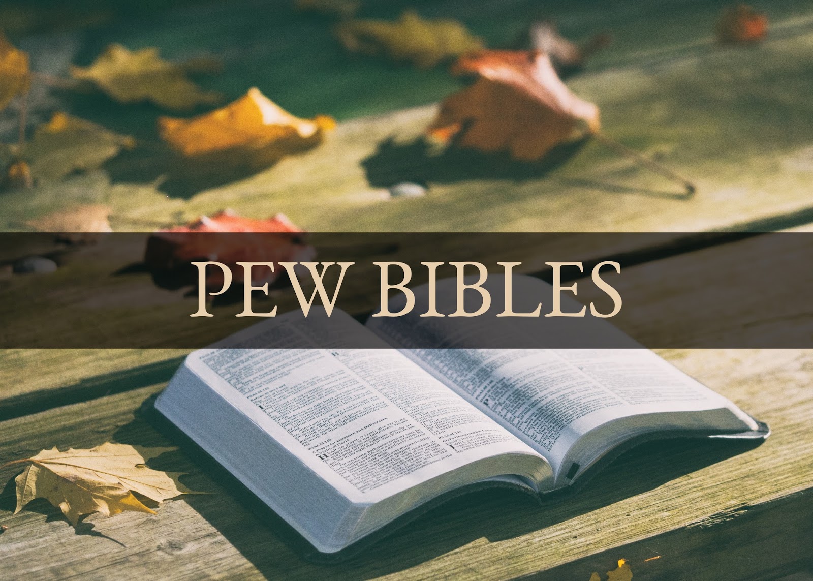 Worship Spaces Pew Bibles