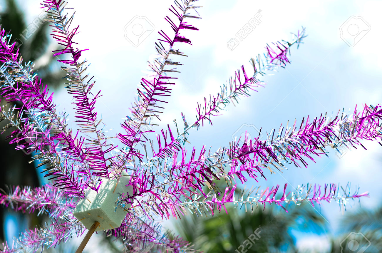 كوبرسامه لامبونونكو Bunga Mangga