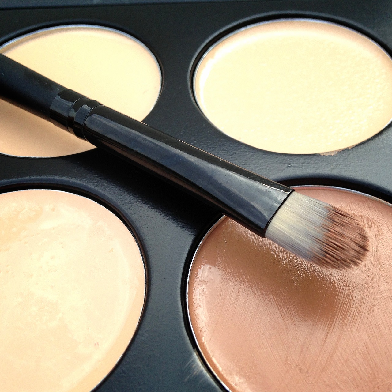Crown Brush 10 Concealer Palette Review & Swatches
