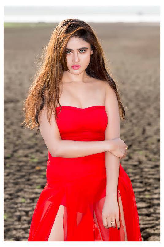 Sony Charishta Photoshoot Stills In Red Dress Indian