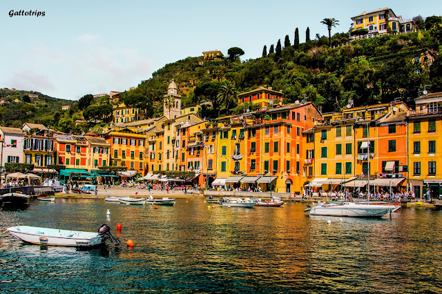 La Toscana - Rinascita - Blogs de Italia - Portofino y la costa de Liguria bien merecen una parada (2)