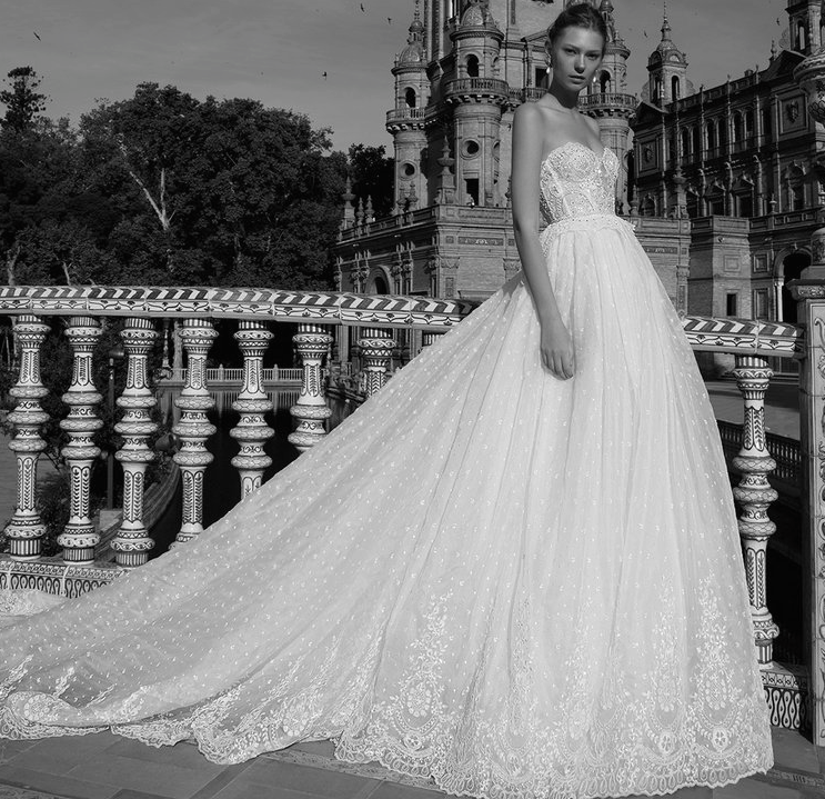 Pure Bridal Elegance: ALON LIVNE