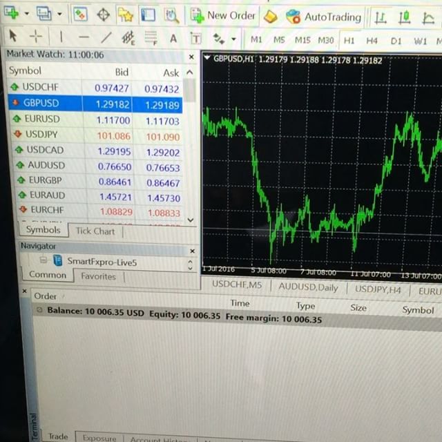 Forex millionaire