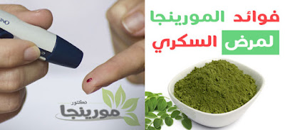 المورينجا والسكري