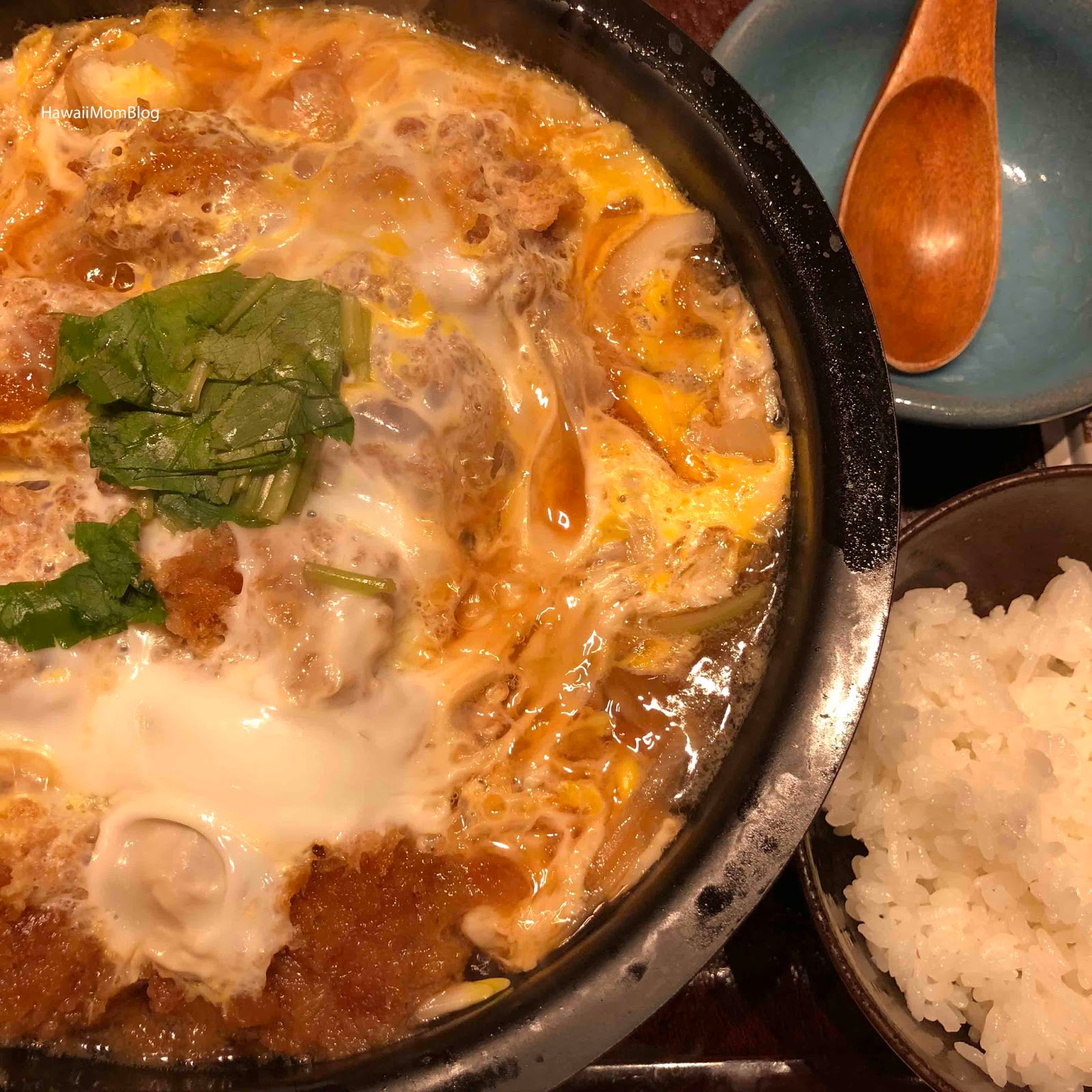 Hawaii Mom Blog Visit Tokyo Tonkatsu Wako