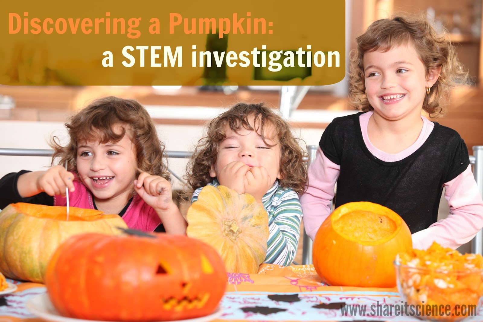 Share it! Science Discovering a Pumpkin STEM Investigation