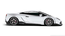 White Lamborghini Gallardo Wallpaper 1