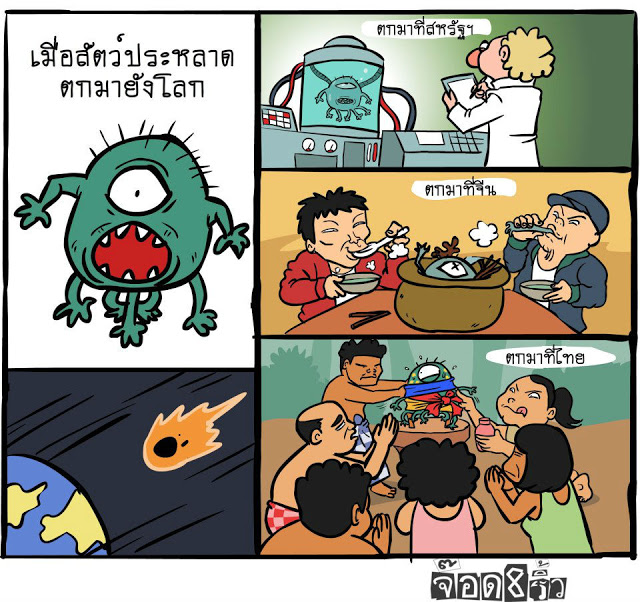 My Image 11
