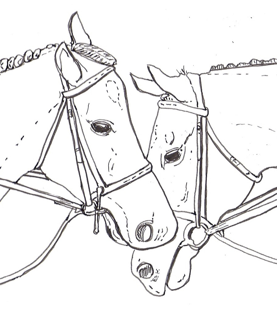 Download Kids Coloring Pages : Horse Coloring Pages