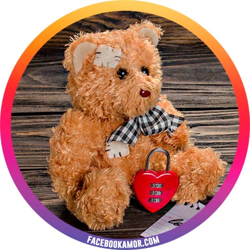 postales de peluche para perfil postales de peluche para perfil