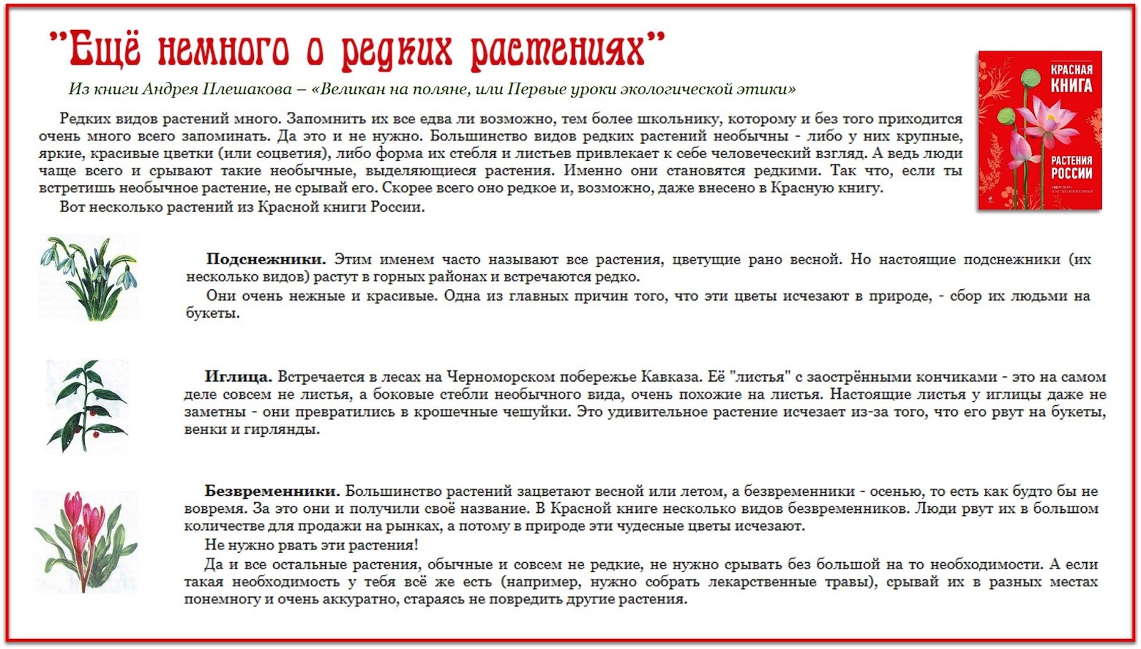 Пословицы о растениях Пословицы о растениях